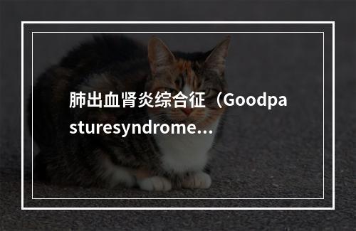 肺出血肾炎综合征（Goodpasturesyndrome）的