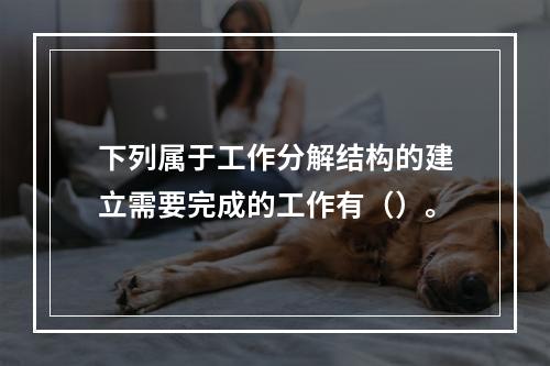 下列属于工作分解结构的建立需要完成的工作有（）。