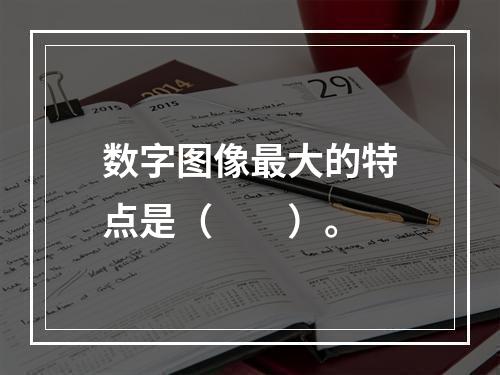 数字图像最大的特点是（　　）。