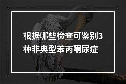 根据哪些检查可鉴别3种非典型苯丙酮尿症