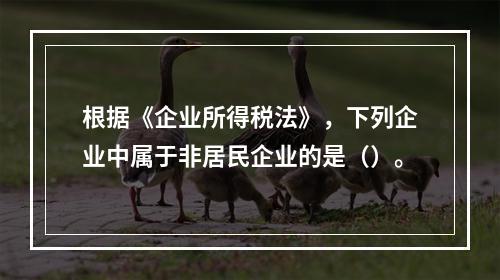 根据《企业所得税法》，下列企业中属于非居民企业的是（）。