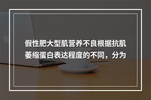 假性肥大型肌营养不良根据抗肌萎缩蛋白表达程度的不同，分为