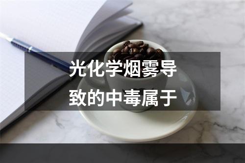 光化学烟雾导致的中毒属于