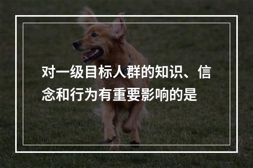 对一级目标人群的知识、信念和行为有重要影响的是