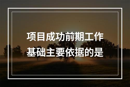 项目成功前期工作基础主要依据的是