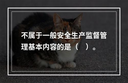 不属于一般安全生产监督管理基本内容的是（　）。