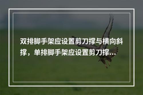 双排脚手架应设置剪刀撑与横向斜撑，单排脚手架应设置剪刀撑。每