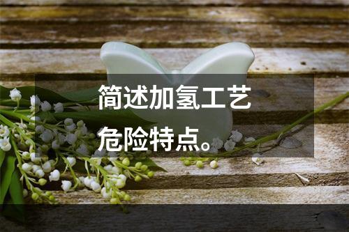 简述加氢工艺危险特点。