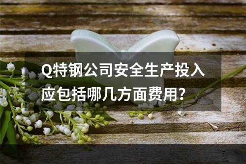 Q特钢公司安全生产投入应包括哪几方面费用？