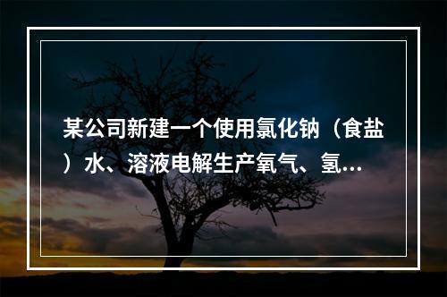 某公司新建一个使用氯化钠（食盐）水、溶液电解生产氧气、氢氧化