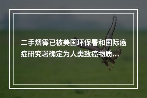 二手烟雾已被美国环保署和国际癌症研究署确定为人类致癌物质的