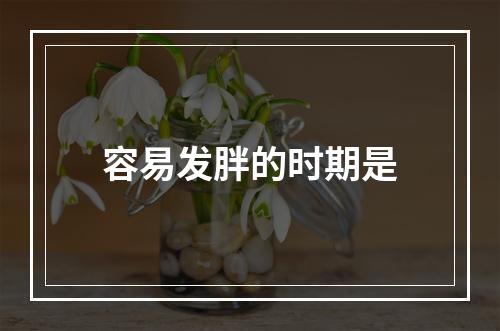 容易发胖的时期是