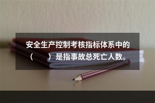 安全生产控制考核指标体系中的（　　）是指事故总死亡人数。