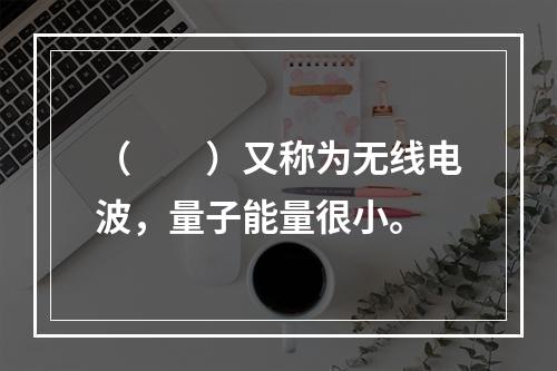 （　　）又称为无线电波，量子能量很小。