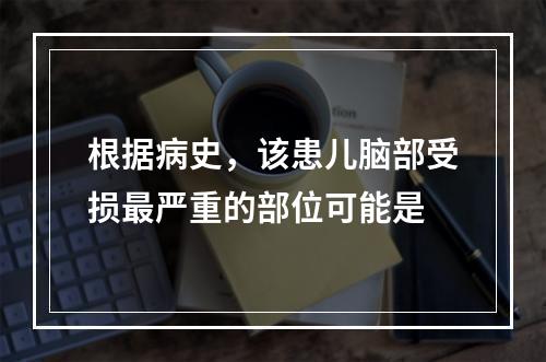 根据病史，该患儿脑部受损最严重的部位可能是