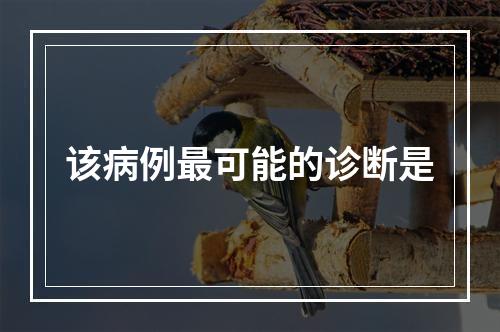 该病例最可能的诊断是