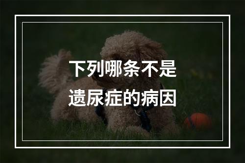 下列哪条不是遗尿症的病因