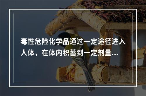 毒性危险化学品通过一定途径进入人体，在体内积蓄到一定剂量后就