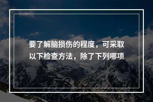 要了解脑损伤的程度，可采取以下检查方法，除了下列哪项