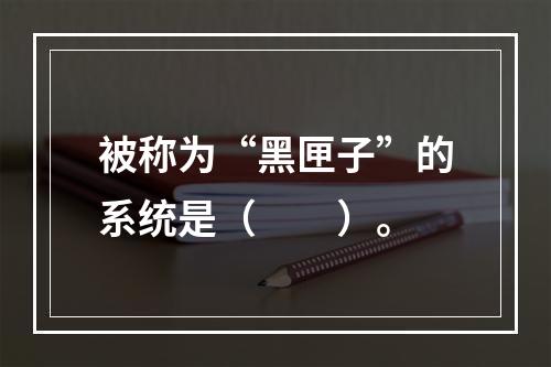 被称为“黑匣子”的系统是（　　）。