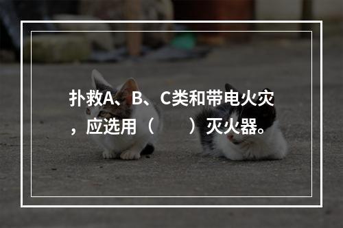 扑救A、B、C类和带电火灾，应选用（　　）灭火器。