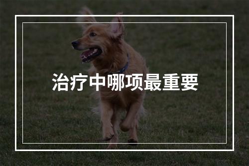 治疗中哪项最重要