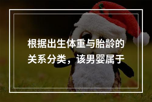 根据出生体重与胎龄的关系分类，该男婴属于