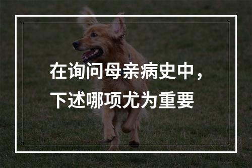 在询问母亲病史中，下述哪项尤为重要