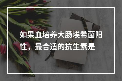 如果血培养大肠埃希菌阳性，最合适的抗生素是