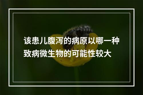 该患儿腹泻的病原以哪一种致病微生物的可能性较大