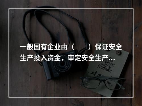 一般国有企业由（　　）保证安全生产投入资金，审定安全生产规划