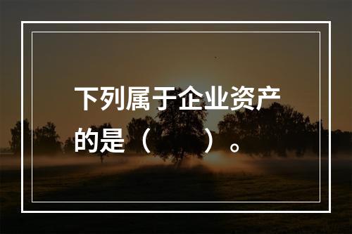 下列属于企业资产的是（　　）。