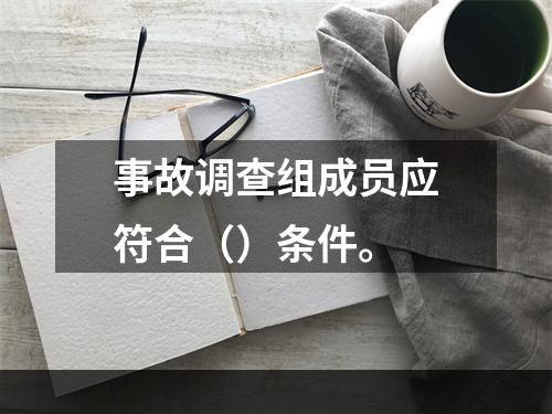 事故调查组成员应符合（）条件。