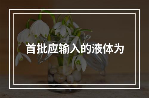 首批应输入的液体为