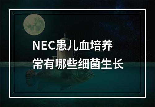 NEC患儿血培养常有哪些细菌生长