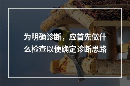 为明确诊断，应首先做什么检查以便确定诊断思路