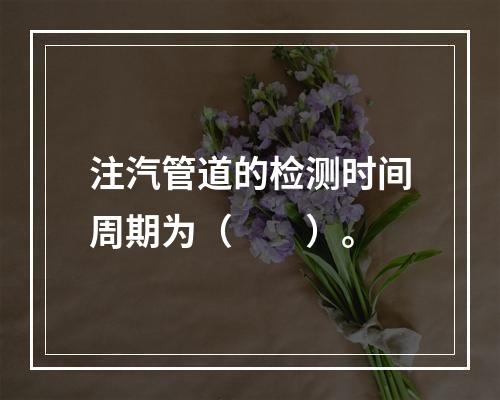 注汽管道的检测时间周期为（　　）。