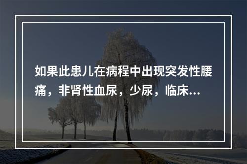 如果此患儿在病程中出现突发性腰痛，非肾性血尿，少尿，临床诊断