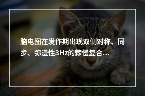 脑电图在发作期出现双侧对称、同步、弥漫性3Hz的棘慢复合波。