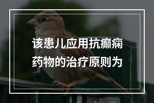 该患儿应用抗癫痫药物的治疗原则为