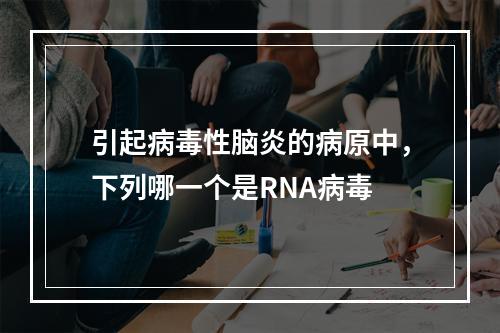 引起病毒性脑炎的病原中，下列哪一个是RNA病毒