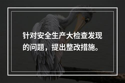 针对安全生产大检查发现的问题，提出整改措施。