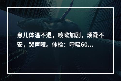 患儿体温不退，咳嗽加剧，烦躁不安，哭声哑。体检：呼吸60次／