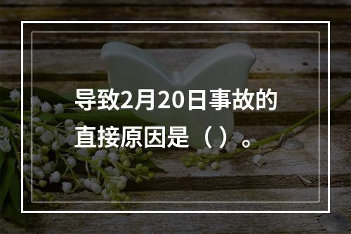 导致2月20日事故的直接原因是（	）。