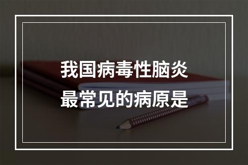 我国病毒性脑炎最常见的病原是