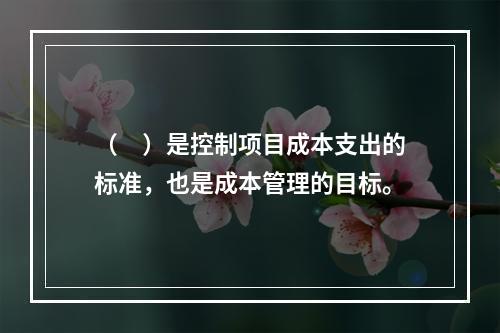 （　）是控制项目成本支出的标准，也是成本管理的目标。