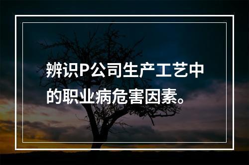 辨识P公司生产工艺中的职业病危害因素。