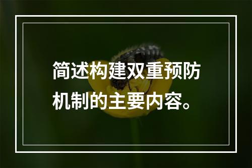 简述构建双重预防机制的主要内容。