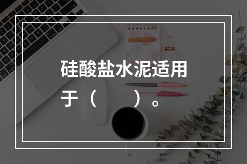 硅酸盐水泥适用于（　　）。