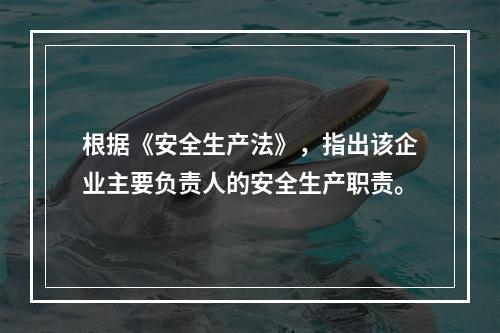 根据《安全生产法》，指出该企业主要负责人的安全生产职责。